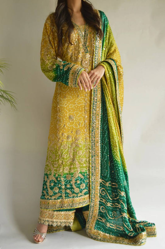 Discover Two Stunning Styles of Traditional Pakistani Dresses
